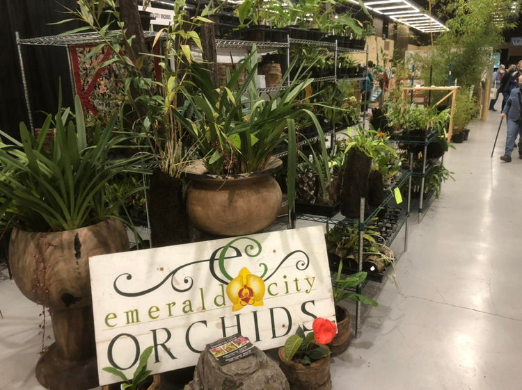 *All Plants*