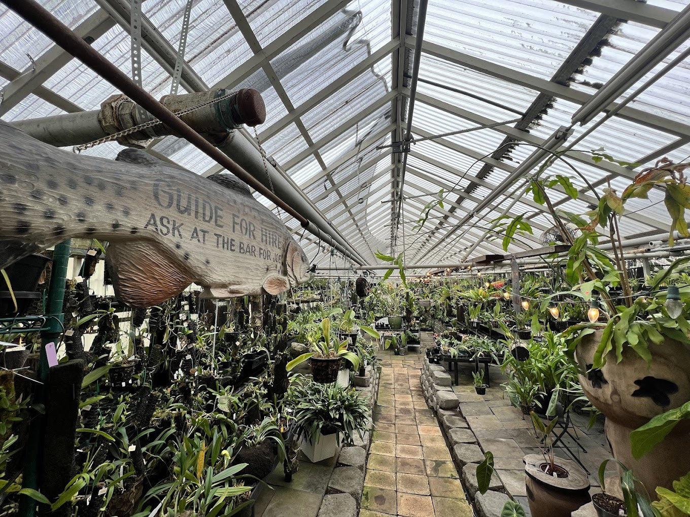 A picture of the west side of our greenhouse displaying all of our in-house grown plants and orchids during the day
