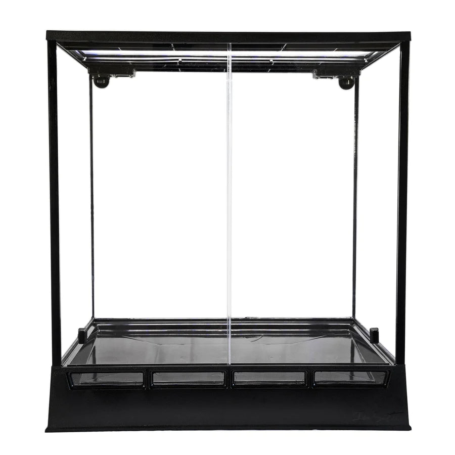 In-Situ Ecosystems - NEW AMAZONIA 24" (Pick-Up Only)