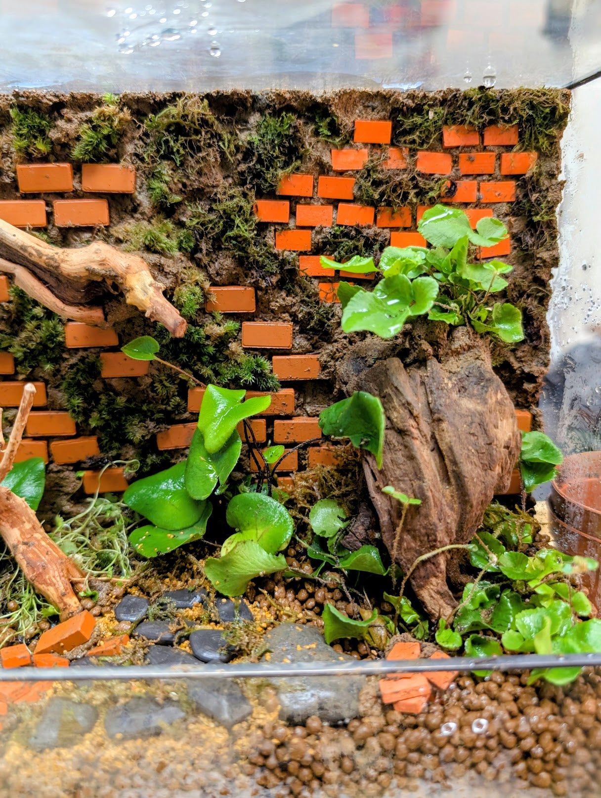 Nature Reclaimed Terrarium February 28th (2 pm)