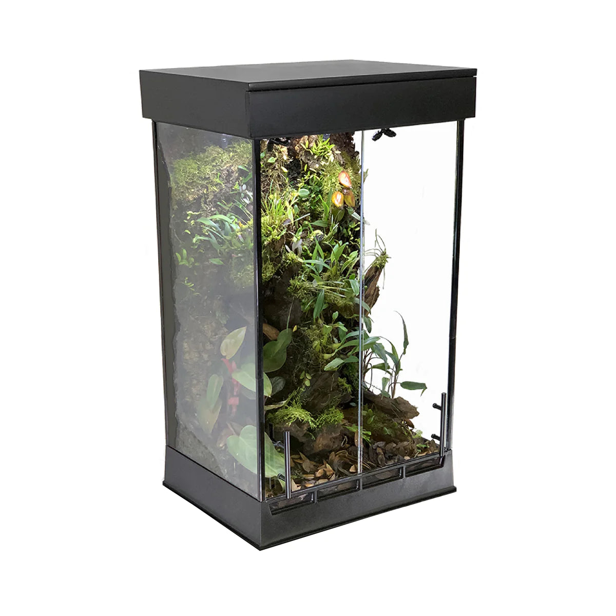In-Situ Ecosystems - ALTO Vivarium 36" (Pick-Up Only)
