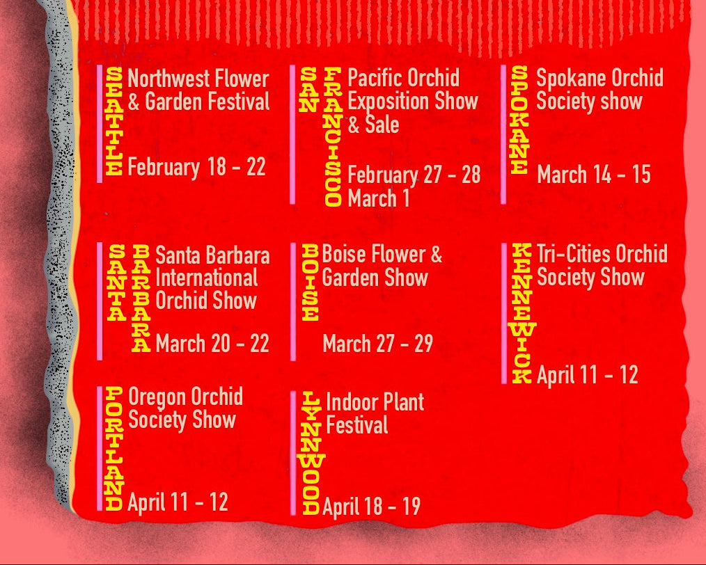 orchid and plant plant show tour