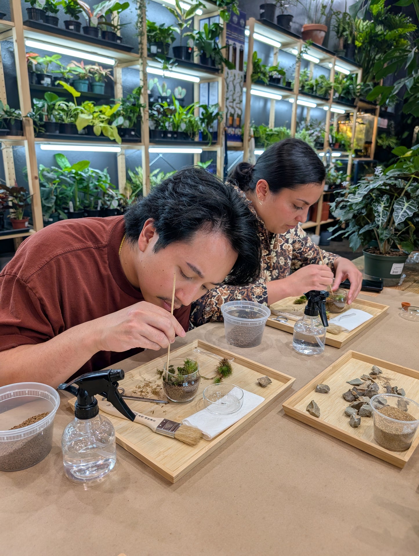 Zen Mossarium January 17 (11 am)