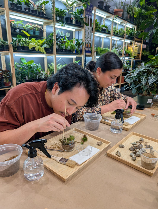 Zen Mossarium February 28th (11 am)